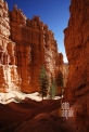 USA_UT_Bryce Canyon NP (07)
